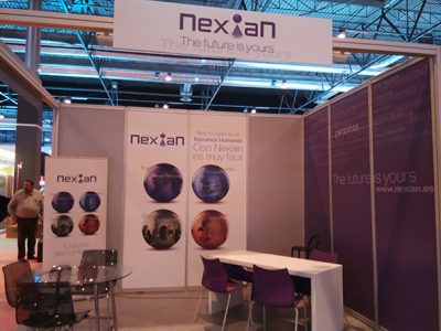 STAND-41